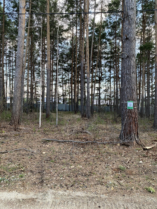 д. Ключи (г.о. Белоярский), ул. Проектная, 1,33 (городской округ Белоярский) - фото земельного участка (3)