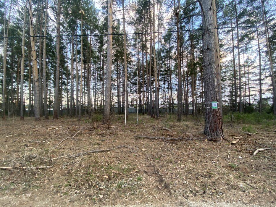 д. Ключи (г.о. Белоярский), ул. Проектная, 1,33 (городской округ Белоярский) - фото земельного участка (5)