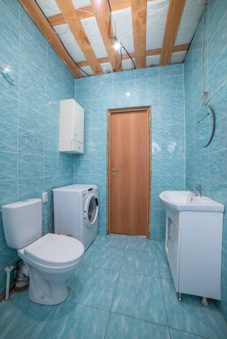 Екатеринбург, СТ Мечта - фото сада (12)