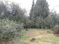 Продажа земельного участка: Екатеринбург, ул. Железнодорожников, 31 (Северка) - Фото 5