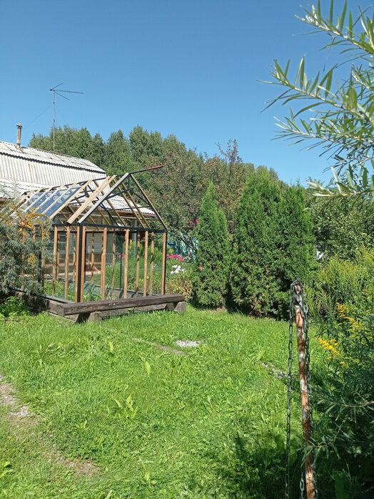 с. Новоалексеевское, городской округ Первоуральск, Пермское направление, 30, СНТ Новинка (городской округ Первоуральск) - фото сада (11)