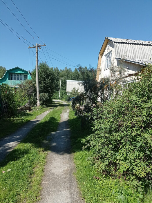 с. Новоалексеевское, городской округ Первоуральск, Пермское направление, 30, СНТ Новинка (городской округ Первоуральск) - фото сада (15)