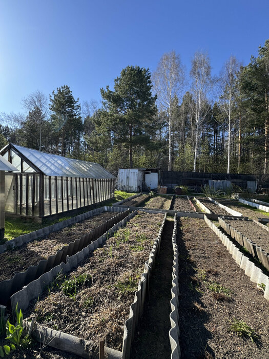 п. Арамиль, городской округ Арамильский, Челябинское направление, 39км., СНТ Голубой Экспресс, ул. СНТ Голубой Экспресс - фото сада (11)
