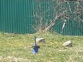 Продажа земельного участка: п. Вашты, ул. 9-й участок (городской округ Верхняя Пышма) - Фото 1