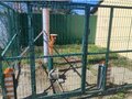 Продажа садового участка: Екатеринбург, к/с Горнощитский (Горный щит) - Фото 7