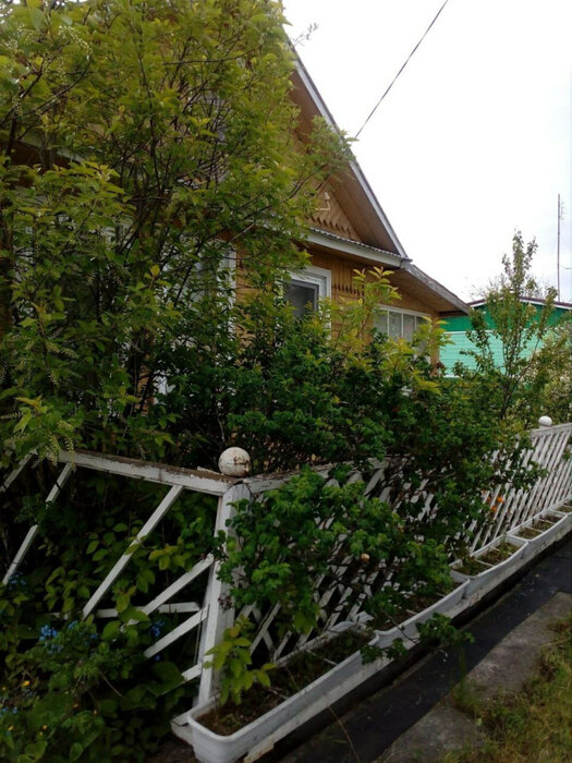 п. Гагарский, СНТ Гагарский (городской округ Белоярский) - фото сада (3)