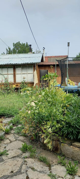п. Гагарский, СНТ Гагарский (городской округ Белоярский) - фото сада (5)