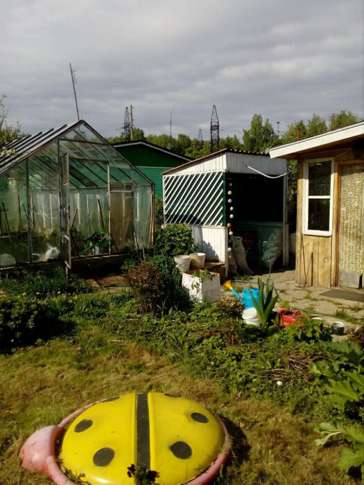 п. Гагарский, СНТ Гагарский (городской округ Белоярский) - фото сада (7)