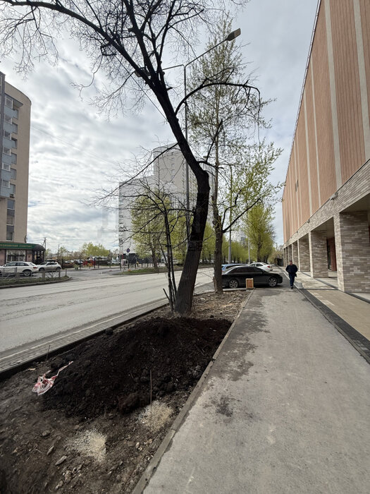 Екатеринбург, ул. Шефская, 22 (Эльмаш) - фото квартиры (5)