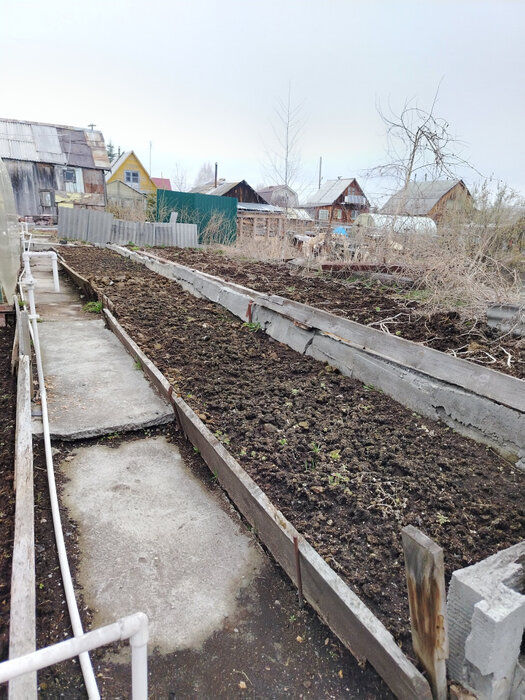 Екатеринбург, СНТ Дорожник - фото сада (8)