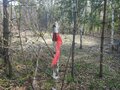 Продажа земельного участка: к.п. Олимпик Парк, ул. Заповедная, 501 (городской округ Сысертский, с. Фомино) - Фото 6