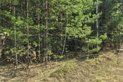 г. Заречный, ул. кв-л. Соловьиная роща, 53 (городской округ Заречный) - фото земельного участка