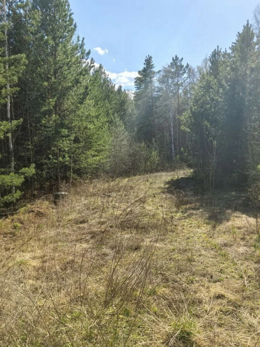 г. Заречный, ул. кв-л. Соловьиная роща, 53 (городской округ Заречный) - фото земельного участка (3)
