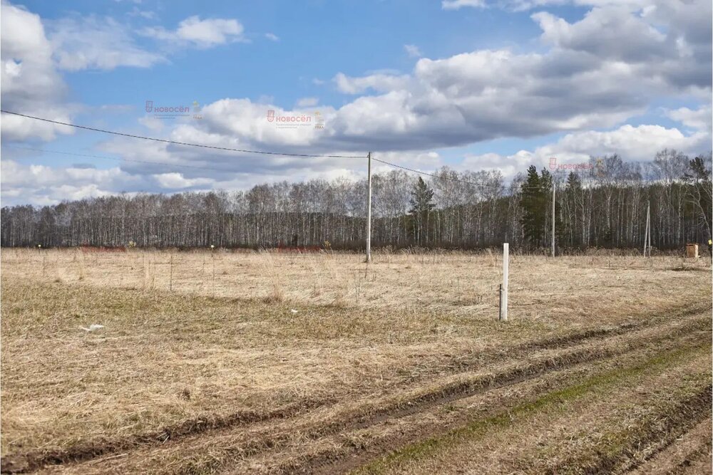 п. Зеленый Лог (городской округ Полевской) - фото земельного участка (3)