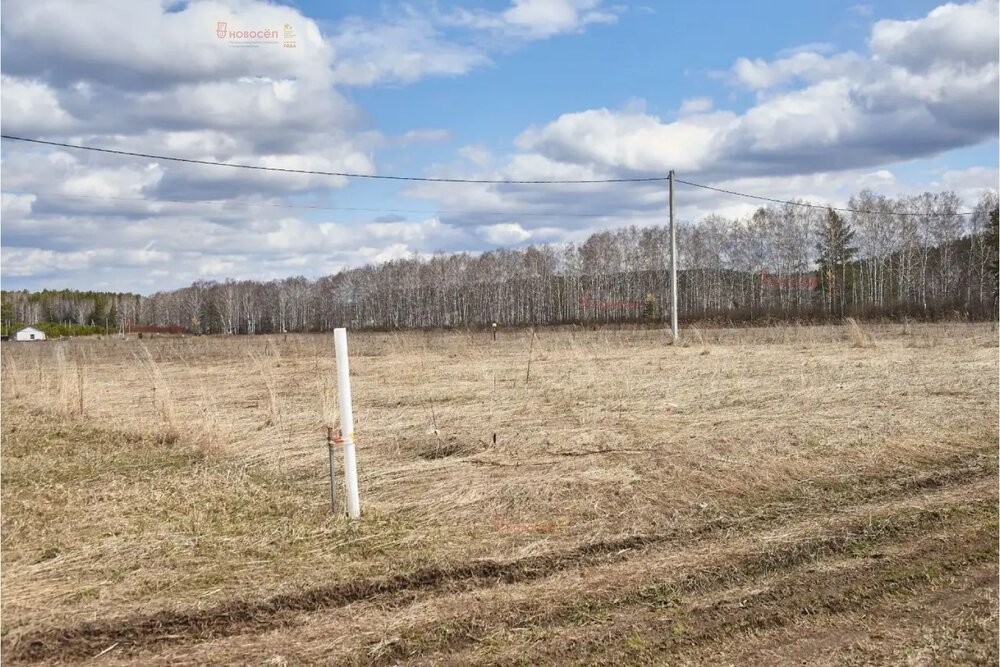 п. Зеленый Лог (городской округ Полевской) - фото земельного участка (4)