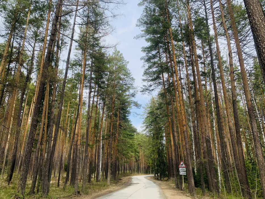п. Мурзинка (г.о. Среднеуральский), ул. Кирова, 15 (городской округ Среднеуральск) - фото земельного участка (1)