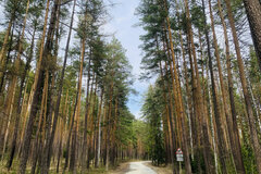 п. Мурзинка (г.о. Среднеуральский), ул. Кирова, 15 (городской округ Среднеуральск) - фото земельного участка