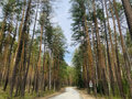 Продажа земельного участка: п. Мурзинка (г.о. Среднеуральский), ул. Кирова, 15 (городской округ Среднеуральск) - Фото 1