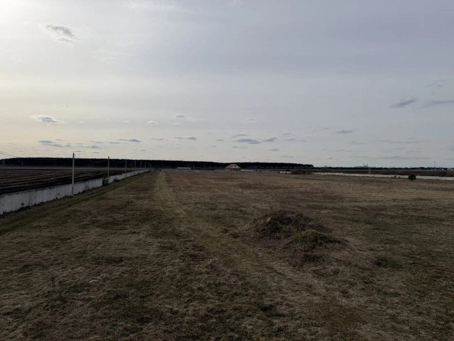 Екатеринбург (городской округ Белоярский) - фото земельного участка (1)