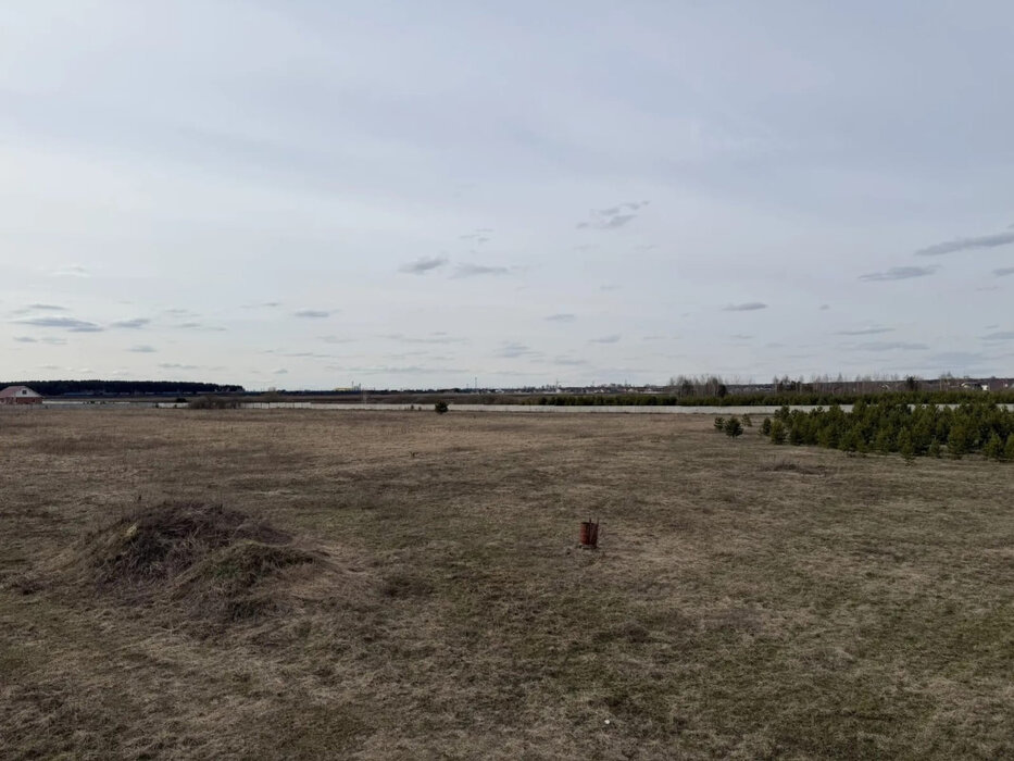 Екатеринбург (городской округ Белоярский) - фото земельного участка (2)