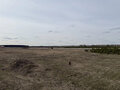 Продажа земельного участка: Екатеринбург (городской округ Белоярский) - Фото 2