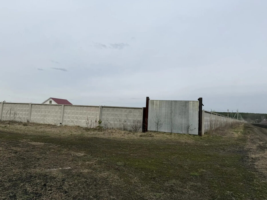 Екатеринбург (городской округ Белоярский) - фото земельного участка (6)