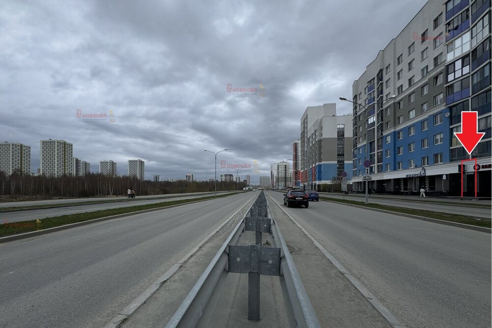 Екатеринбург, ул. Шаманова, 36 (Академический) - фото торговой площади (3)
