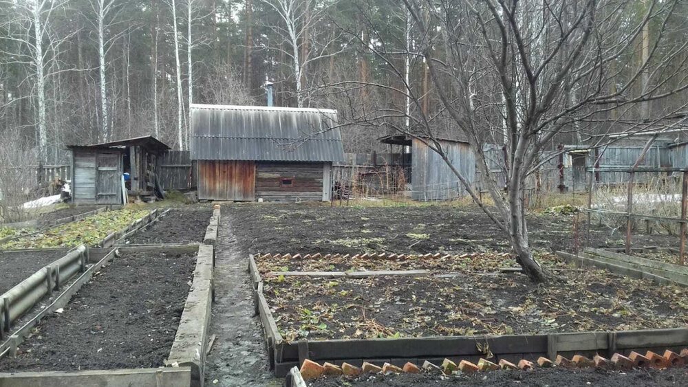 Екатеринбург, тер. СНТ. Хрустальный, ул. снт. Горный щит (кад.кв-л, 0513007) - фото сада (7)