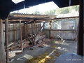 Продажа дома: г. Асбест, ул. Щербакова, 13 (городской округ Асбестовский) - Фото 3