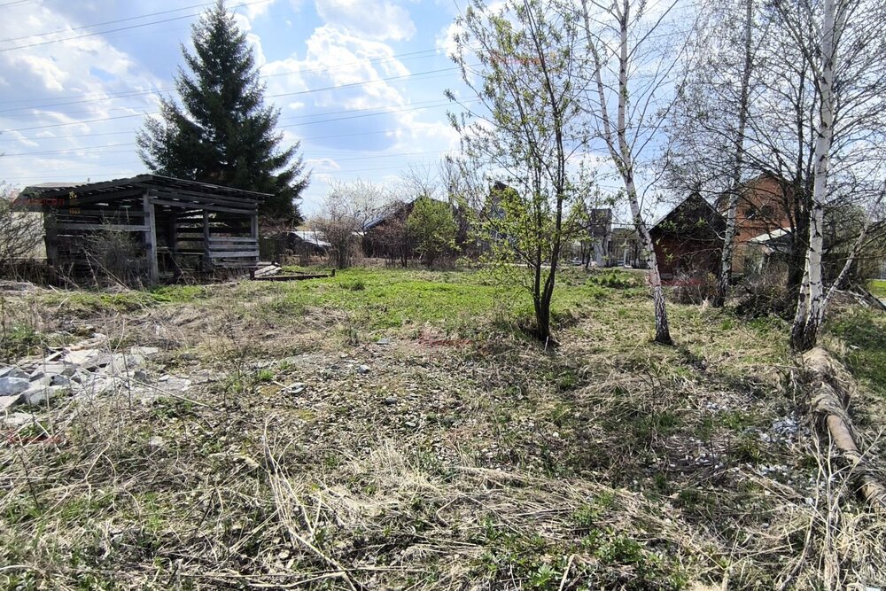 г. Среднеуральск, СНТ Энергетик-2 (городской округ Среднеуральск) - фото сада (4)