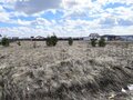 Продажа земельного участка: д. Гусева, ул. Александровская, 17 (городской округ Белоярский) - Фото 3