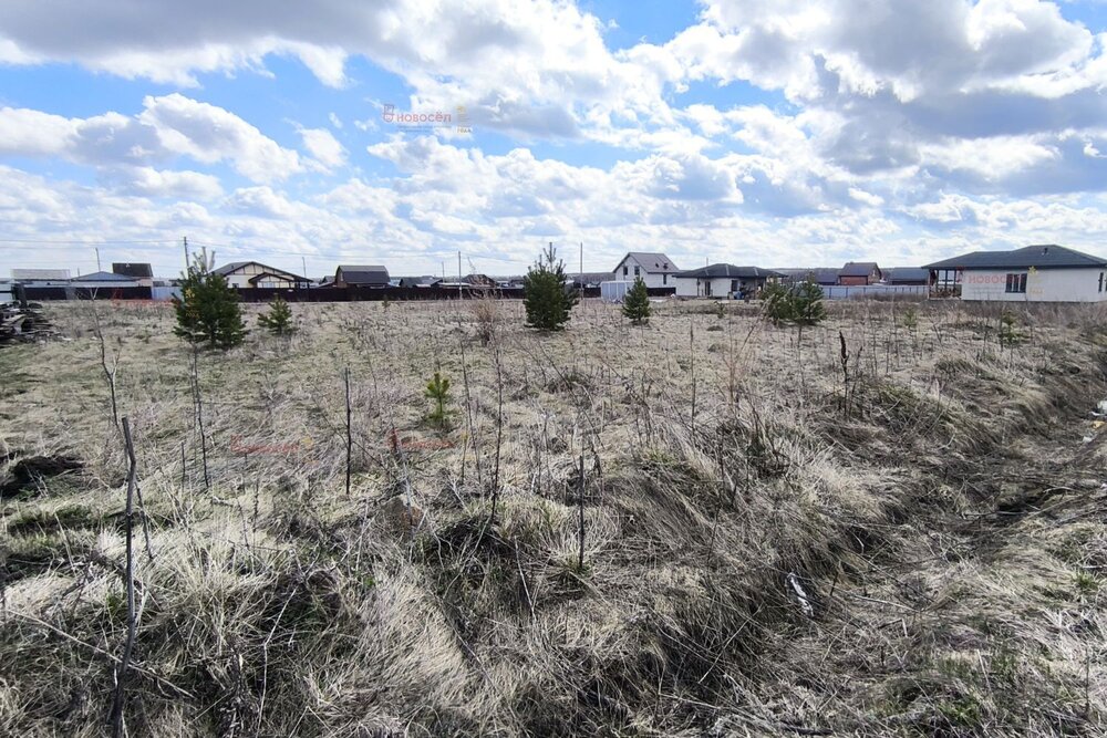 д. Гусева, ул. Александровская, 17 (городской округ Белоярский) - фото земельного участка (6)