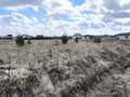 Продажа земельного участка: д. Гусева, ул. Александровская, 17 (городской округ Белоярский) - Фото 6