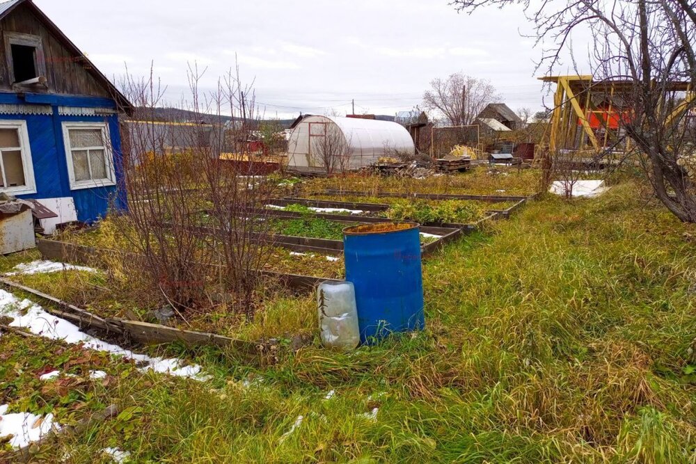 г. Дегтярск, СОТ № 2   (городской округ Город Дегтярск) - фото сада (3)