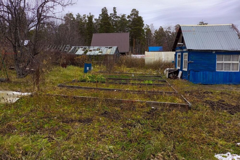 г. Дегтярск, СОТ № 2   (городской округ Город Дегтярск) - фото сада (4)