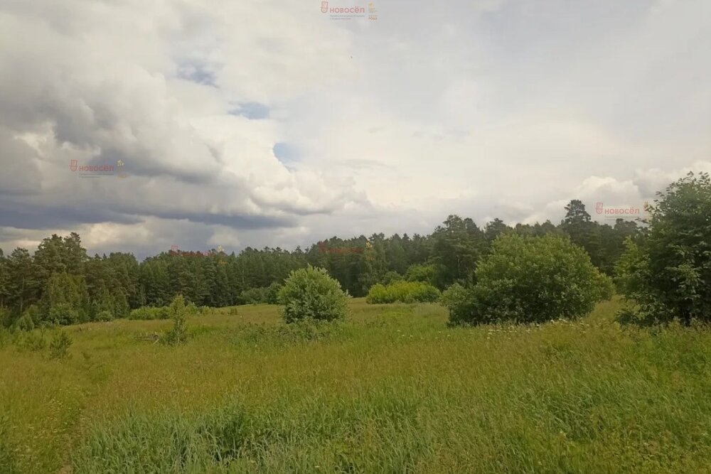 г. Дегтярск, СОТ № 2, ул. СОТ №, 2 (городской округ Город Дегтярск) - фото сада (7)