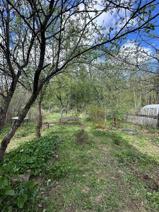 Екатеринбург, тер. СНТ. Жилищник-3, ул. тер. СНТ. Жилищник-3 - фото сада (10)