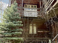 Продажа садового участка: Екатеринбург, тер. СНТ. Жилищник-3 - Фото 2