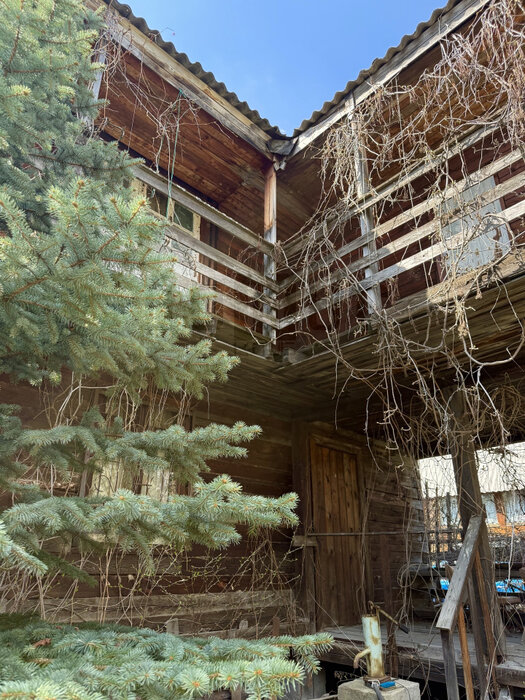 Екатеринбург, тер. СНТ. Жилищник-3 - фото сада (3)