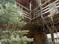 Продажа садового участка: Екатеринбург, тер. СНТ. Жилищник-3 - Фото 3