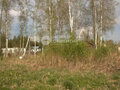 Продажа земельного участка: к.п. Заповедник, ул. Лисий лес, 114 (городской округ Сысертский, п. Габиевский) - Фото 7