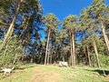 Продажа дома: г. Первоуральск, ул. Обходчиков, 13 (городской округ Первоуральск) - Фото 3