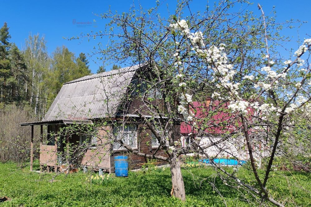 Екатеринбург, СНТ Мелиоратор, ул. СНТ Мелиоратор, 53 - фото сада (11)