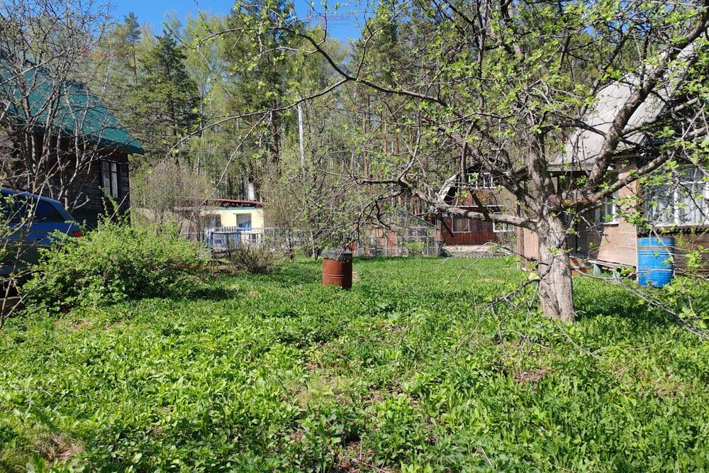 Екатеринбург, СНТ Мелиоратор, ул. СНТ Мелиоратор, 53 - фото сада (13)