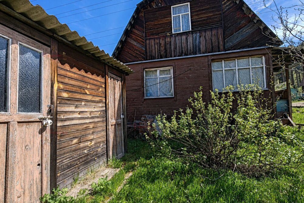 Екатеринбург, СНТ Мелиоратор, уч. 53 (Горный щит) - фото сада (1)