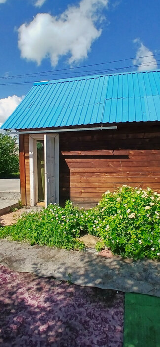 г. Верхняя Пышма, СНТ Простоквашино, ул. СНТ Простоквашино (городской округ Верхняя Пышма) - фото сада (14)