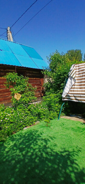 г. Верхняя Пышма, СНТ Простоквашино, ул. СНТ Простоквашино (городской округ Верхняя Пышма) - фото сада (15)