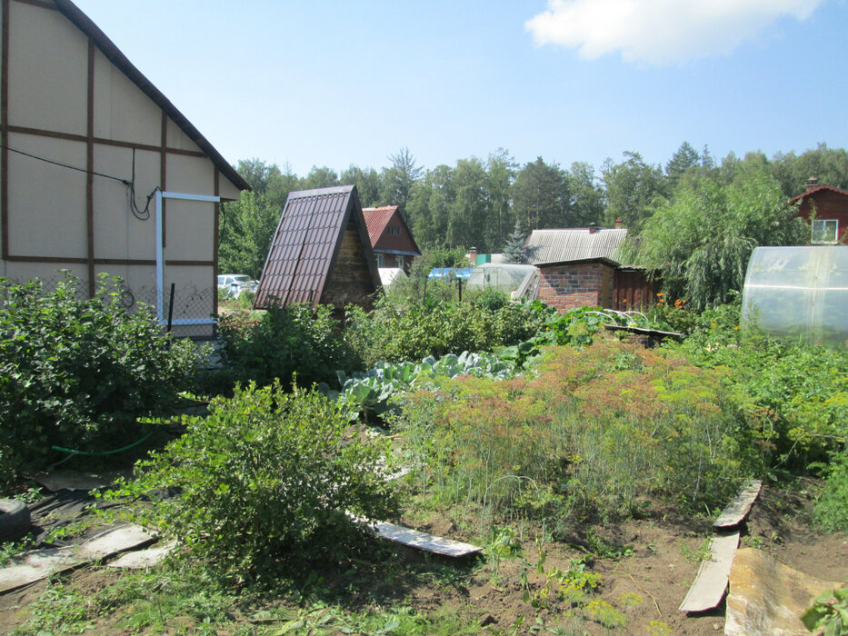 г. Верхняя Пышма, СНТ Простоквашино (городской округ Верхняя Пышма) - фото сада (7)