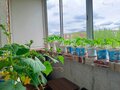 Продажа квартиры: г. Первоуральск, ул. Ильича, 34 (городской округ Первоуральск) - Фото 5