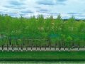 Продажа квартиры: г. Первоуральск, ул. Ильича, 34 (городской округ Первоуральск) - Фото 6
